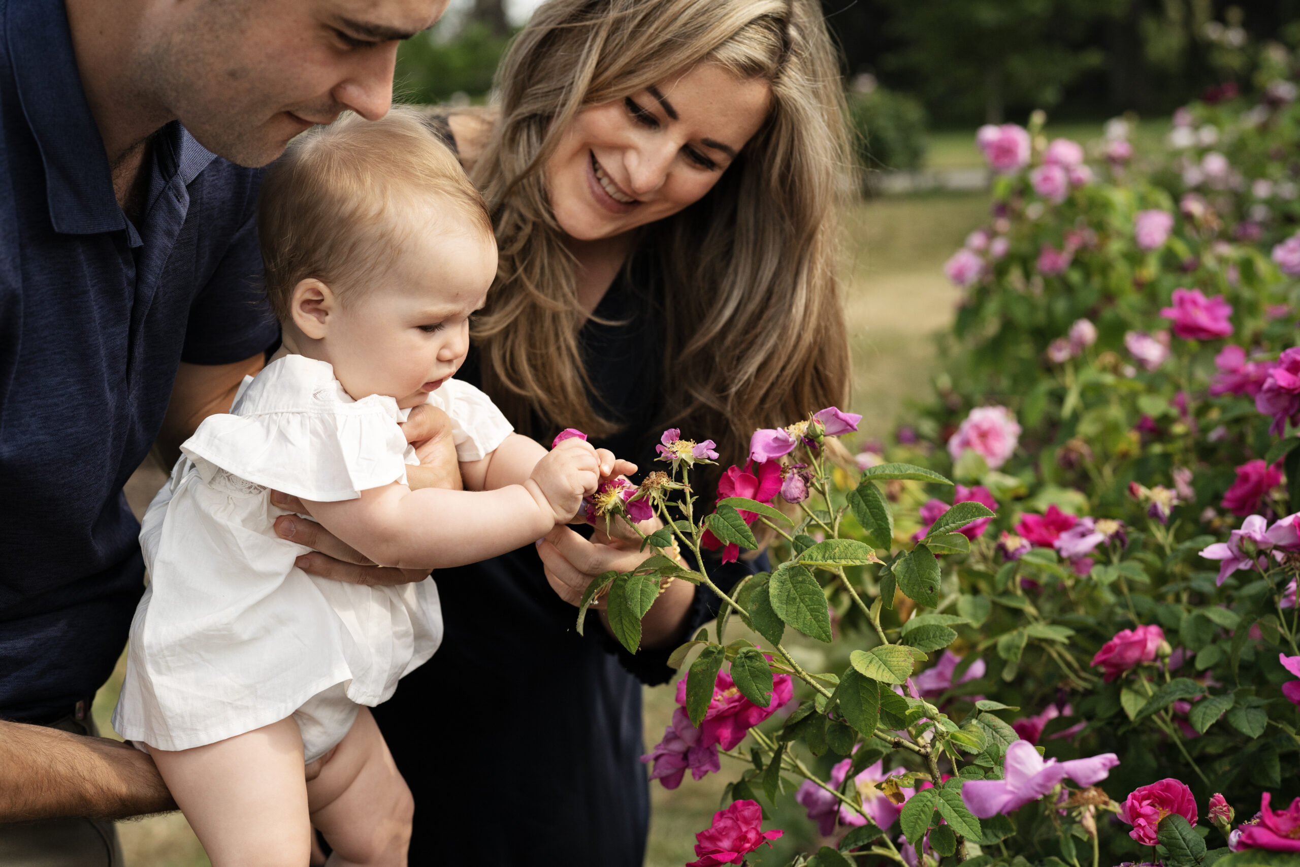 Baby girl has her photo taken with her parents in Kew Garden's rose garden