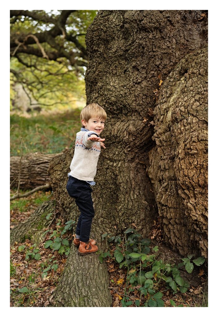 A little boy posing near a large tree trunk for an Autumn Family Photoshoot 